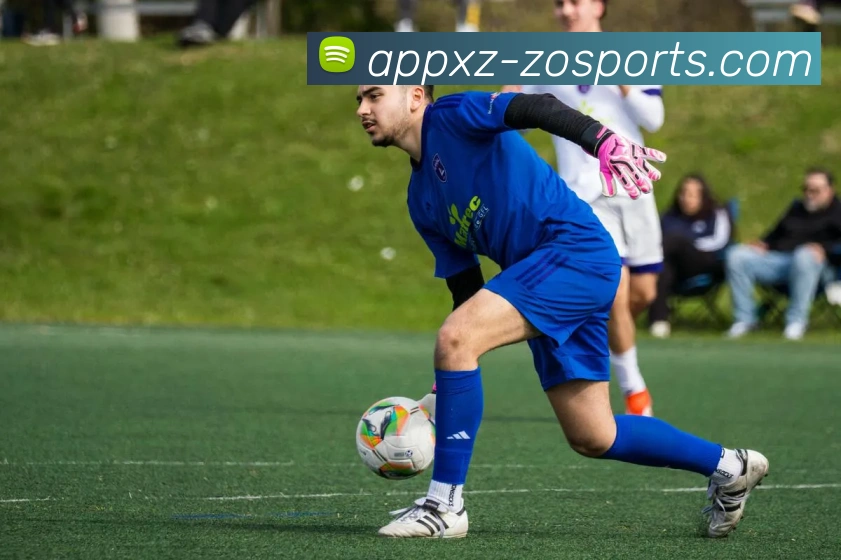 中欧体育平台生态图